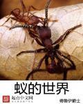 蟻的世界