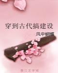 穿到古代搞建設