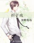 摺子戲