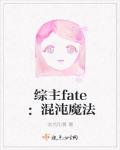 綜主fate之混沌魔法